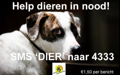 Make donating and/or volunteering as easy as possible