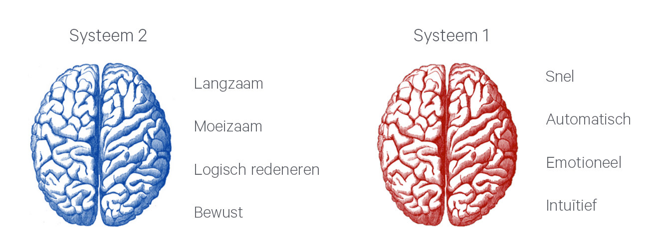 Systeem 1 en Systeem 2