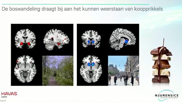 Webinar fMRI-onderzoek naar de kracht van natuur