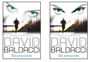 Boekcover onderzoek David Baldacci recht vs schuin