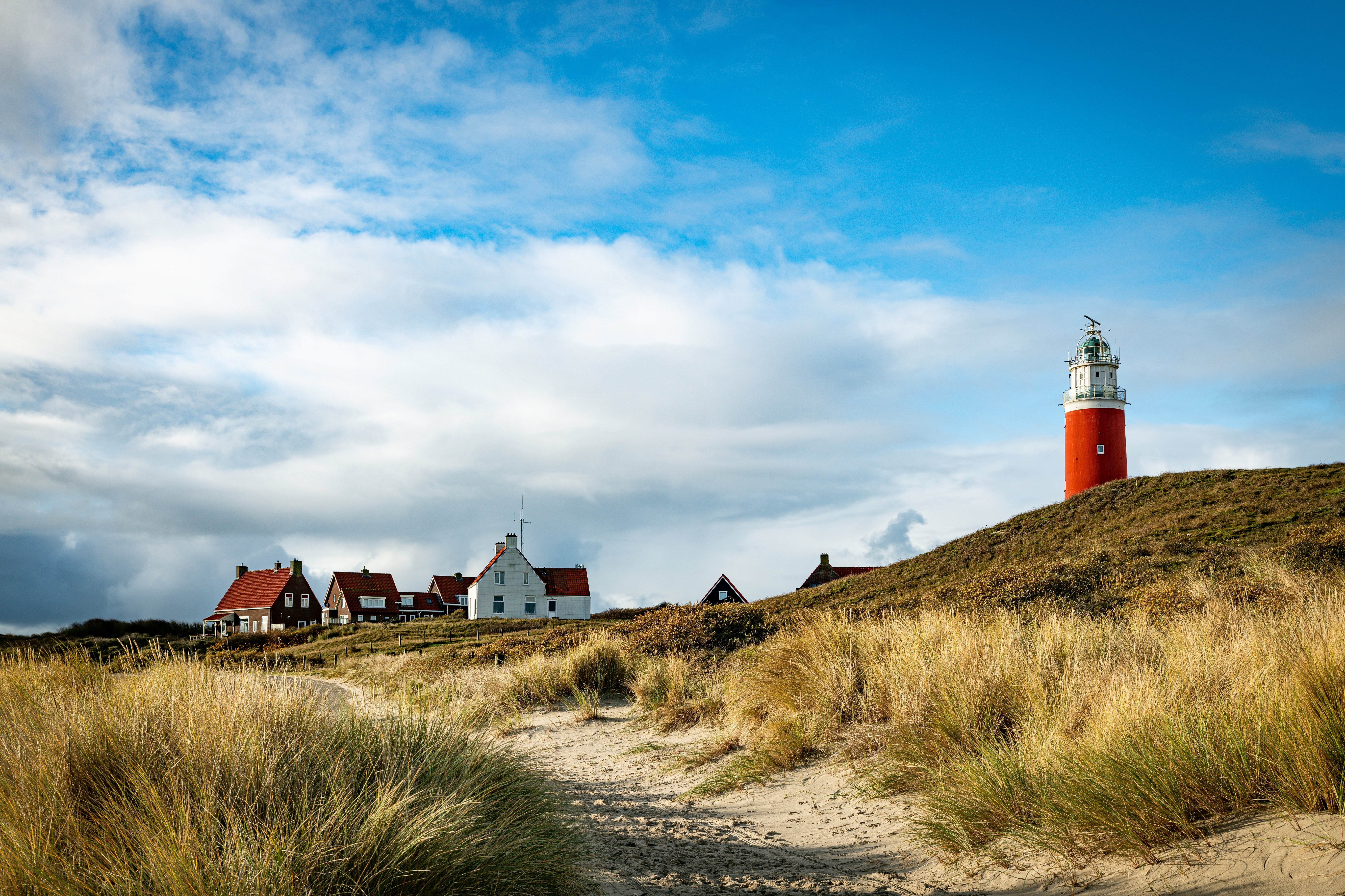 Texel