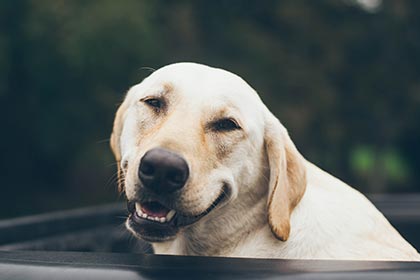 Neuromarketing Learning 11 - Subliminal messaging in advertising: it can work